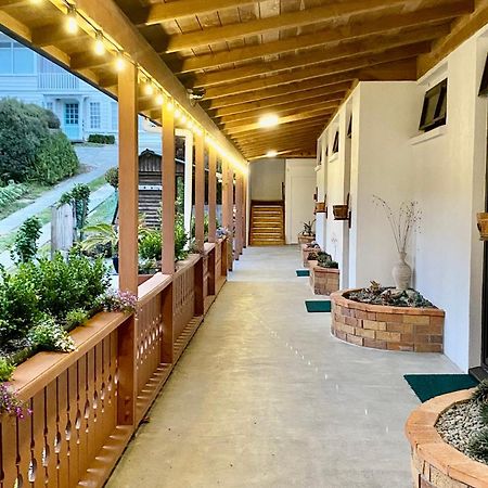 The Swiss Chalet Holiday Apartment 4, Bay Of Islands Paihia Exterior foto